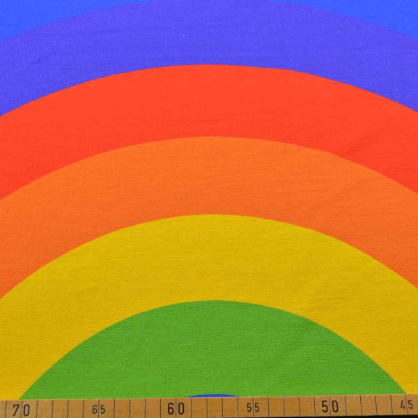 Baumwolljersey Panel Regenbogen ca. 75 cm